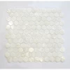 White color shell wall decorate by mother of pearl hexagon shape mosaic tiles