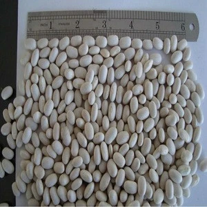 White kidney Beans