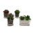Import wholesale 6*10cm mini decoration handicraft artificial plants from China