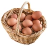 wholesale fresh Chinese  white brown farm chicken eggs
