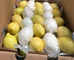 Wholesale High Quality Fresh Lemon Fresh Citrus Fruit For Sale