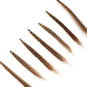 Wholesale High quality Natural Female pheasant Tail Feather