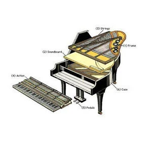 Wholesale piano parts and piano shell