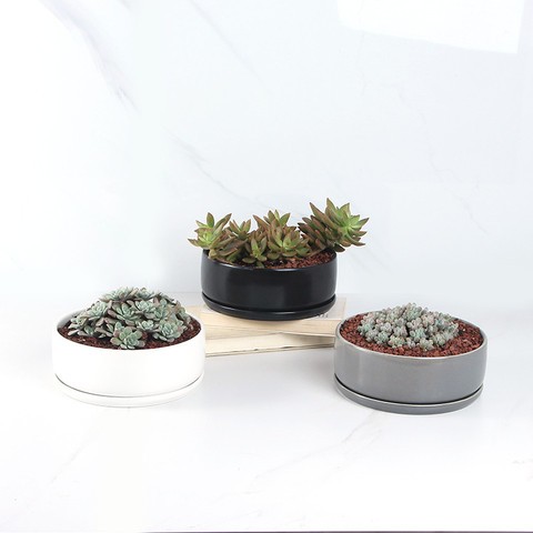 Wholesale Plant Pots For Table Ceramic Flower Succulent Pot Mini Ceramic Planter Set