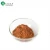 Import wholesale price halal chocolate raw material pure natural cocoa powder from China