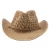 Import Wholesale Unisex Summer Wear Beach Holiday Woven Paper Straw Cowboy Hat from China