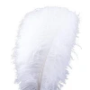 Wholesale Variety of Colours 15cm to 75cm Snow White Ostrich Feathers For Wedding and Party Decoration