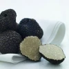 Wild fresh truffle shuffle price as appetizer a truffle pig
