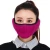 Import Winter Riding Cold-proof Windproof Warm Plush Ski Ear cover Facemask Earmuffs from China