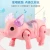 Import WoYing Electric leash  glowing music leads pigs Sing the pig Fun toys for children from China