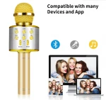 WS858 Professional  Wireless Microphone Speaker Handheld Microphone Karaoke Mic Music Player Singing Recorder KTV Microphone
