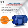 Ye3-200L-4p30kw 1475R /min Three-phase AC induction induction motor