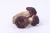 Import Yunnan No Pollution No Addition All Natural Nourishing Authentic Deep Mountain Picking Wild Red Mushroom from China