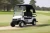 Import High Quality China Made Carrito De Golf Para 2 Person from China