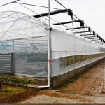 film greenhouse for vegetable