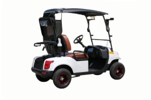 High Quality China Made Carrito De Golf Para 2 Person