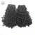 Import New Arrival Double Drawn Funmi Hair Fancy Curl from China