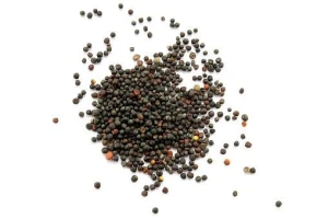 Natural Grape Seeds – Non-GMO | For Food, Pharma & Beauty Applications