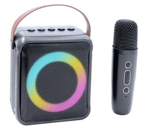 5W BT speakers/portable speakers with microphone