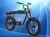 Import 350w-1000w Bicycle 20 Inch Fat Tire Ebike City Mountain Electric Bike Adult from China