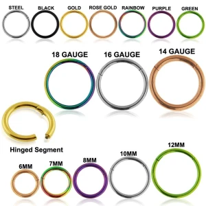 316L Surgical Steel Hinged Segment Clicker Ring