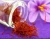 Import pure saffron from Iran