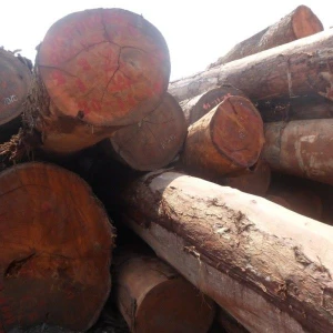 Okan Logs and Sawn Woods For Export