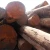Import Okan Logs and Sawn Woods For Export from South Africa