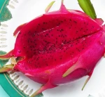 Vietnam Fresh Dragon Fruit