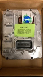 Electronic module