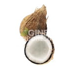 Coconut Semi Husked