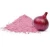 Import Dehydrated Red Onion Powder and Flakes from India