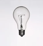 110V 220v Incandescent Clear Bulb E27 B22