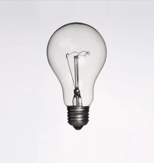 110V 220v Incandescent Clear Bulb E27 B22