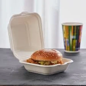 Sugarcane Bagasse Clamshells(Burger Box)