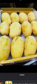 Mangoes