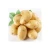 Import Organic Fresh Potatoes farm fresh from South Africa