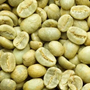 Organic Arabica Coffee Beans – Specialty Grade | Fairtrade Certified Supplier