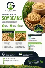 Soybeans