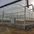 Import film greenhouse for vegetable from China