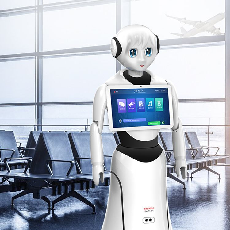 Buy Ai Intelligent Robot Programmable Talking Robot Respond To Human ...