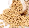 High Quality Dried Bulk Soybean Seeds Non-GMO Export Grade