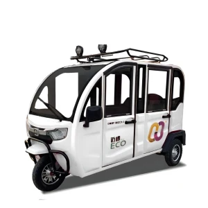 China's MadHigh Capacity BatteryEnergy Saving and environmental protectionCheapHome three-wheelerLeisure three-wheeler