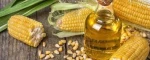 Pure Corn Cooking Oil – Reliable Global Supply