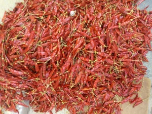 Dry Red Chilli Guntur Sannam 334 / S10