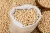 Import High Quality Dried Bulk Soybean Seeds Non-GMO Export Grade from Germany