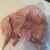 Import Premium Frozen Rabbit Meat for sale from Malaysia
