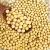 Import High Quality Dried Bulk Soybean Seeds Non-GMO Export Grade from Germany