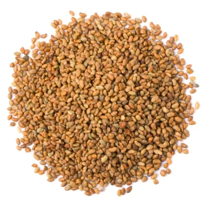 Good Quality Alfalfa Seeds Lucerne Lusan Gaas Seeds For Sale