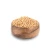 Import High Quality Dried Bulk Soybean Seeds Non-GMO Export Grade from Germany